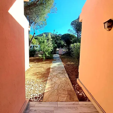 L'aurora Di Campulongu *